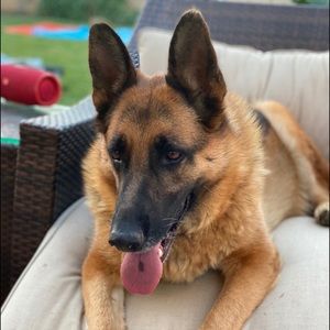 Meet your Posher, Robert